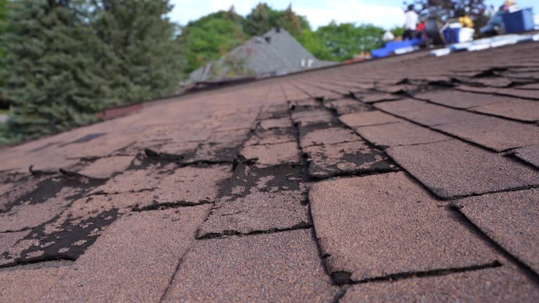 Best Storm Damage Roof Repair  in Superior, CO